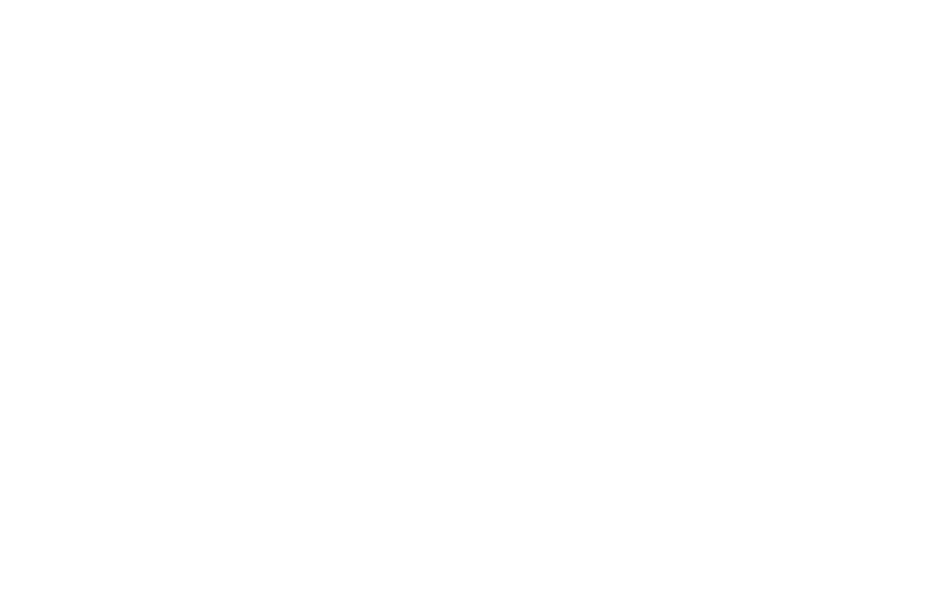 Stinson Creek Ranch Logo White